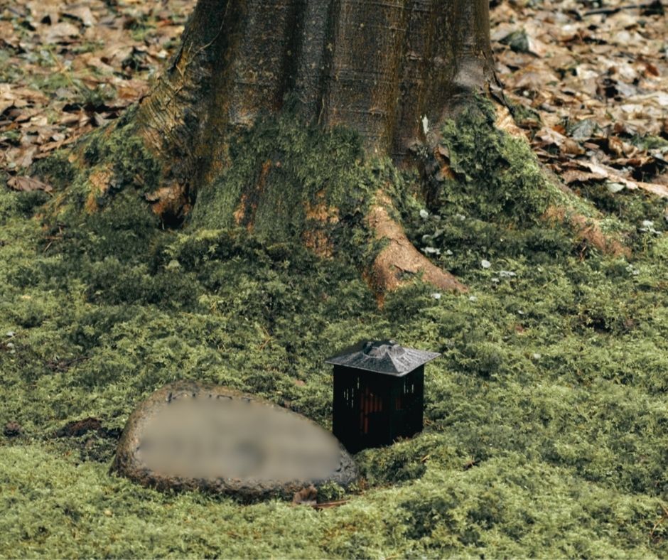 Zielony pogrzeb – ekologiczne pożegnanie pod drzewem w naturalnym otoczeniu